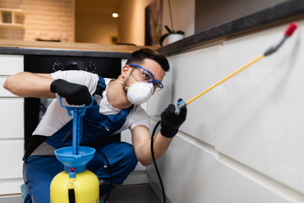 Best Local Pest Control Services  in Hartland, WI