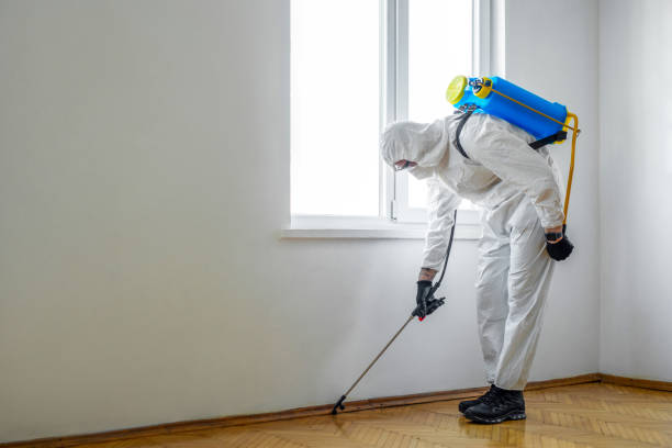 Best Mosquito Control Services  in Hartland, WI