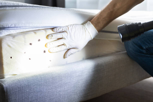 Best Pest Control Near Me in Hartland, WI