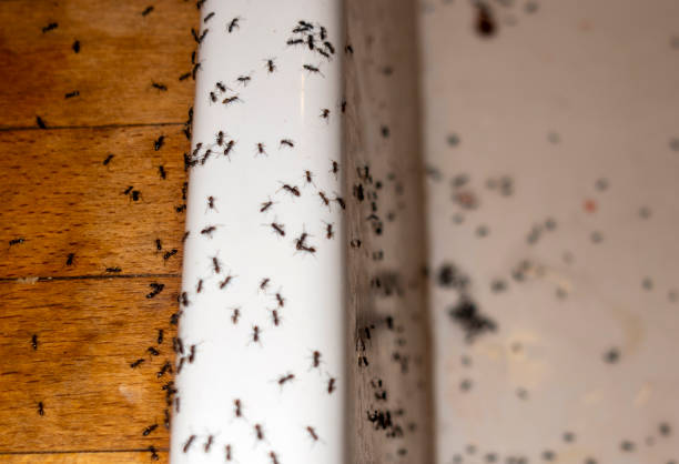 Best Exterminator Services  in Hartland, WI