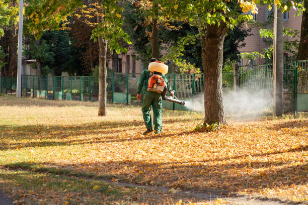 Trusted Hartland, WI Pest Control Experts